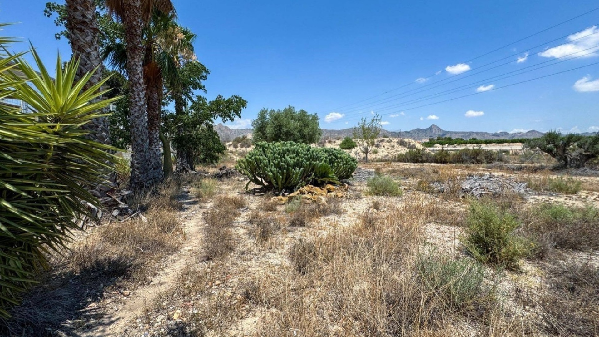 Revente - Country Property - Orihuela - Orihuela Centro
