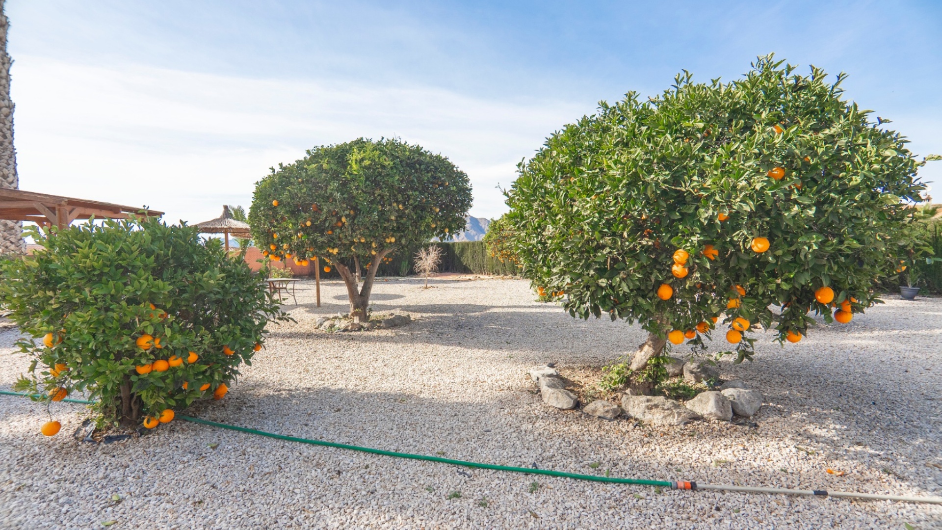 Revente - Country Property - Orihuela - San Bartolome