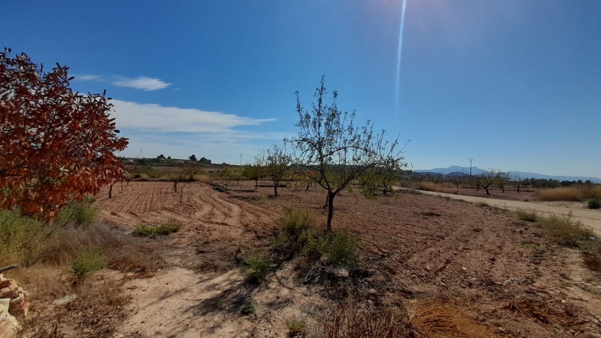 Revente - Country Property - Pinoso - Pinoso Centro