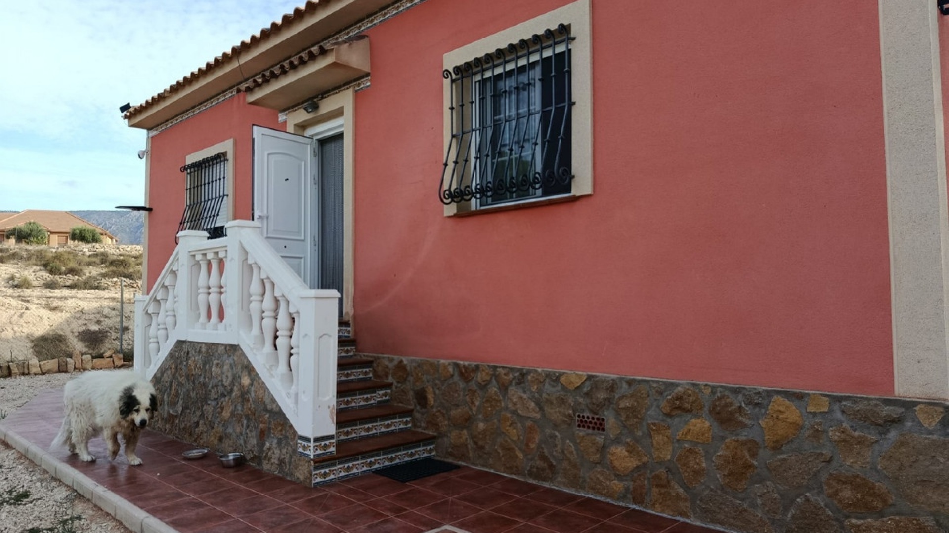 Revente - Country Property - Pinoso - Pinoso Centro