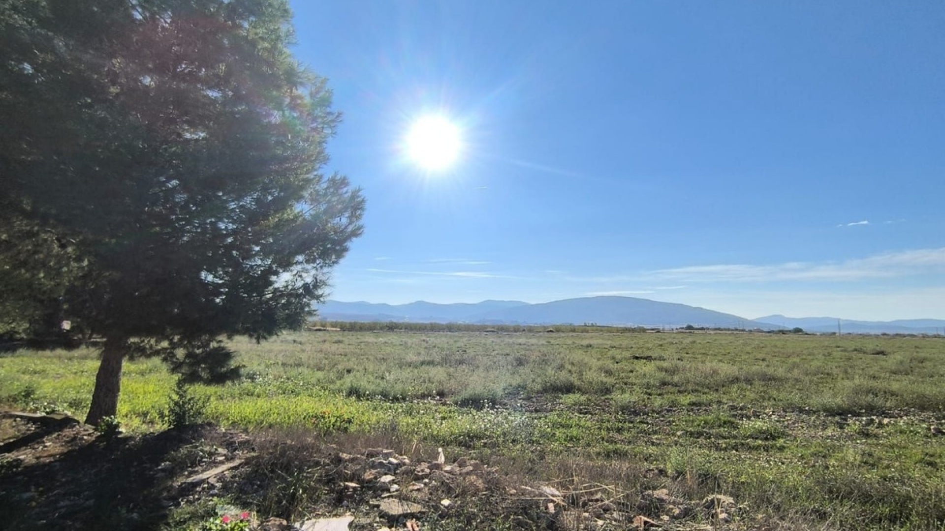 Revente - Country Property - Pinoso - Pinoso Centro