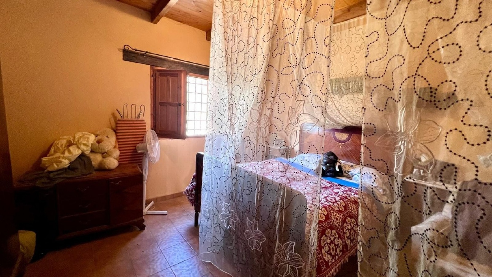 Revente - Country Property - Pinoso - Pinoso Centro