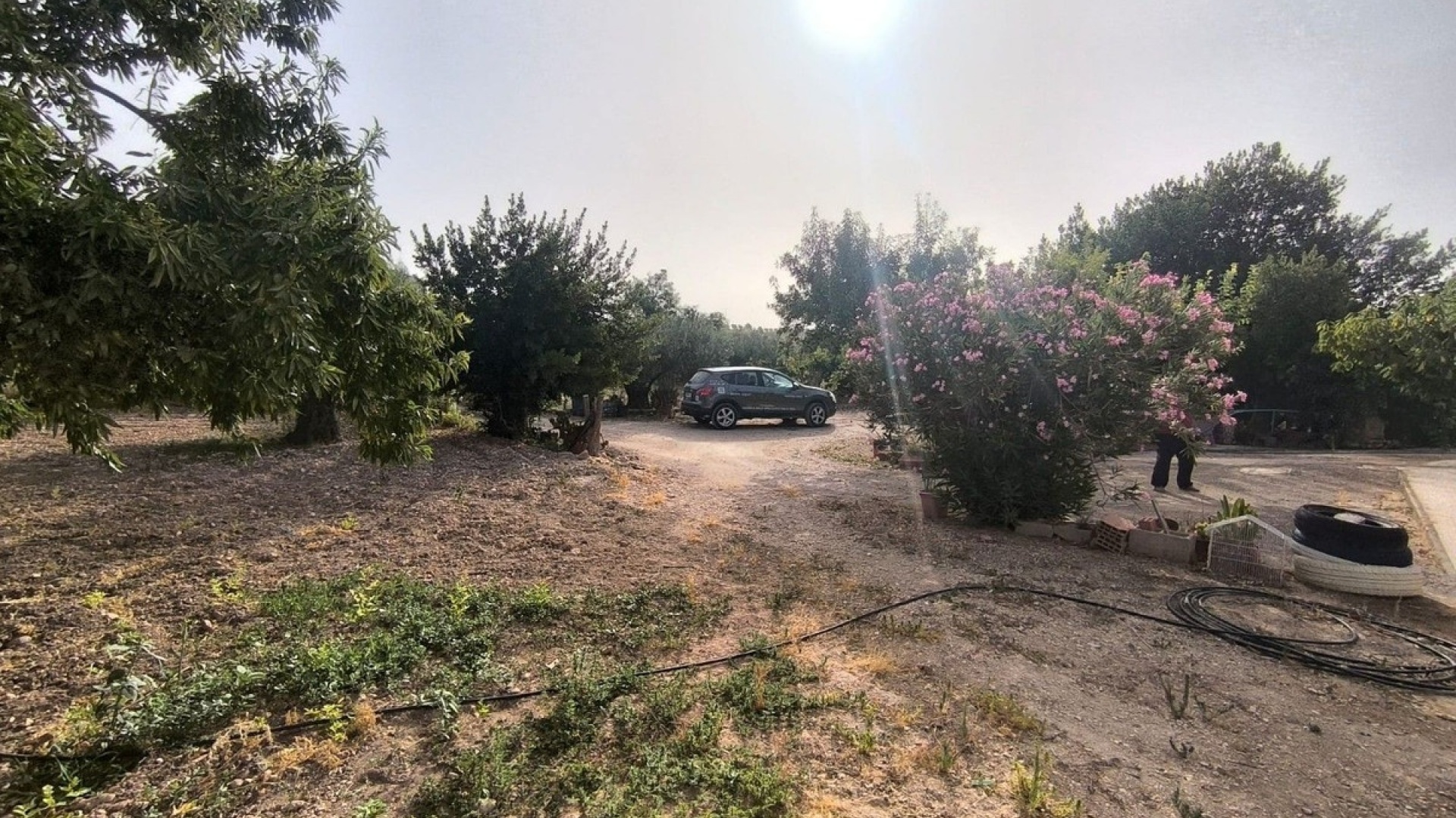 Revente - Country Property - Pinoso - Pinoso Centro