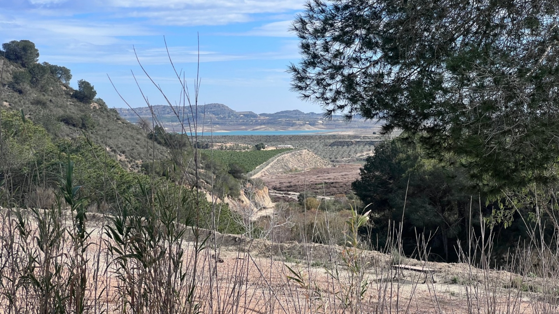 Revente - Country Property - Torremendo - torremendo