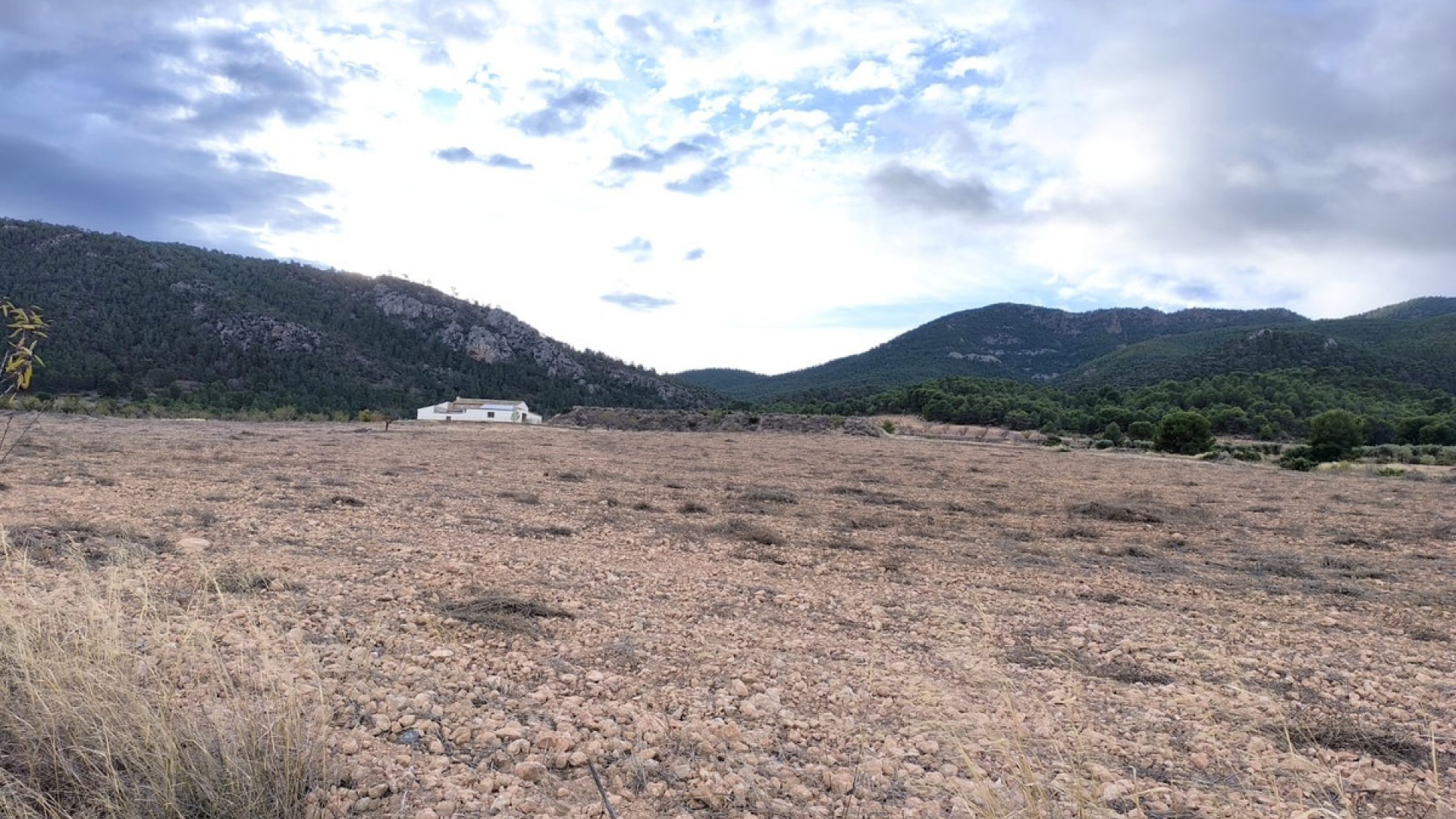 Revente - Country Property - Yecla - Yecla Centro