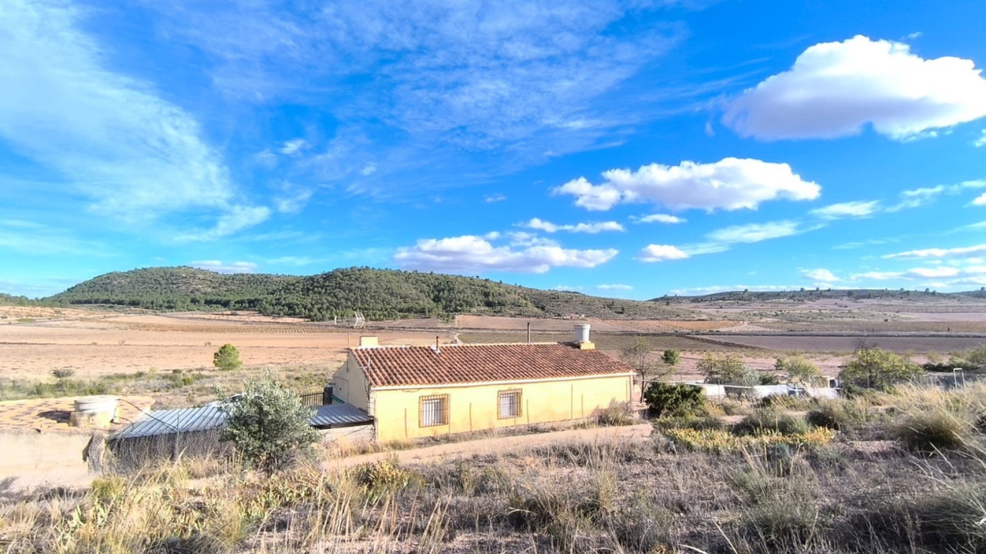 Revente - Country Property - Yecla - Yecla Centro