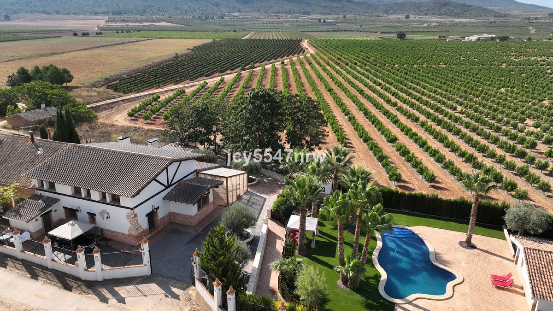 Revente - Country Property - Yecla - Yecla Centro