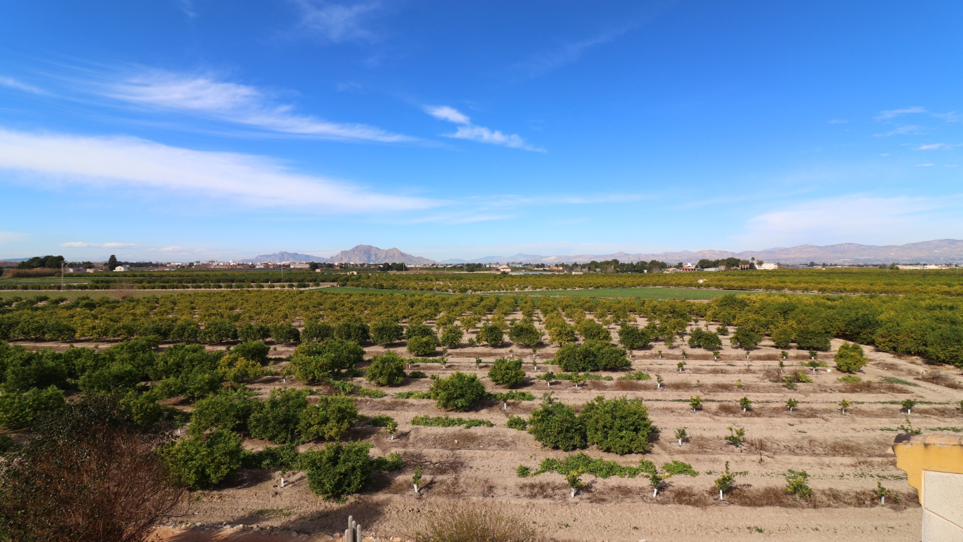 Revente - Maison de ville - Daya Nueva - Daya Nueva - Town