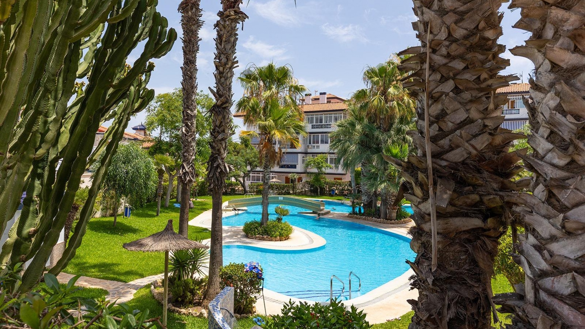 Revente - Maison de ville - La Mata - Beachside La Mata