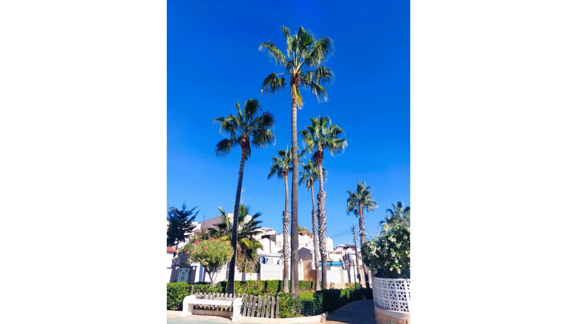 Revente - Maison de ville - Los Balcones - lago jardin