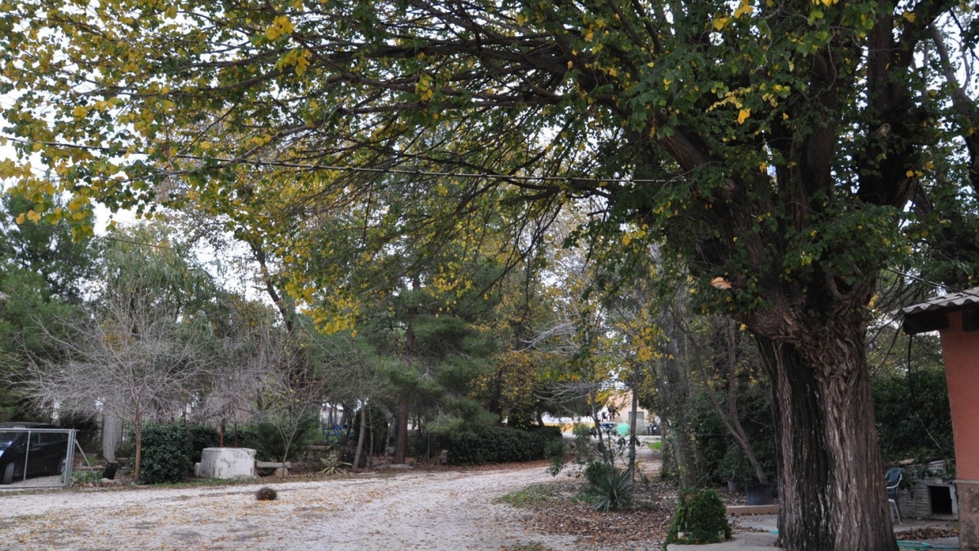 Revente - Maison de ville - Pinoso - Pinoso Centro