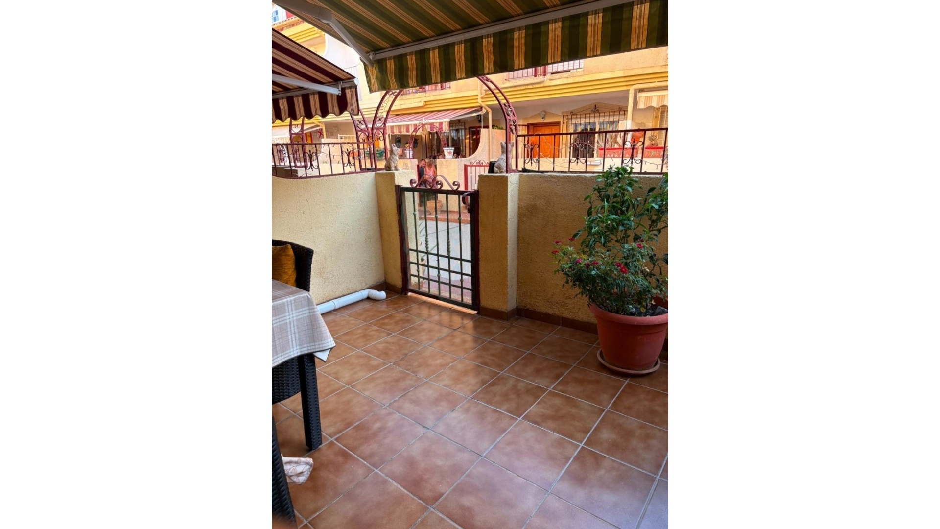 Revente - Maison de ville - Playa Flamenca - amapolas
