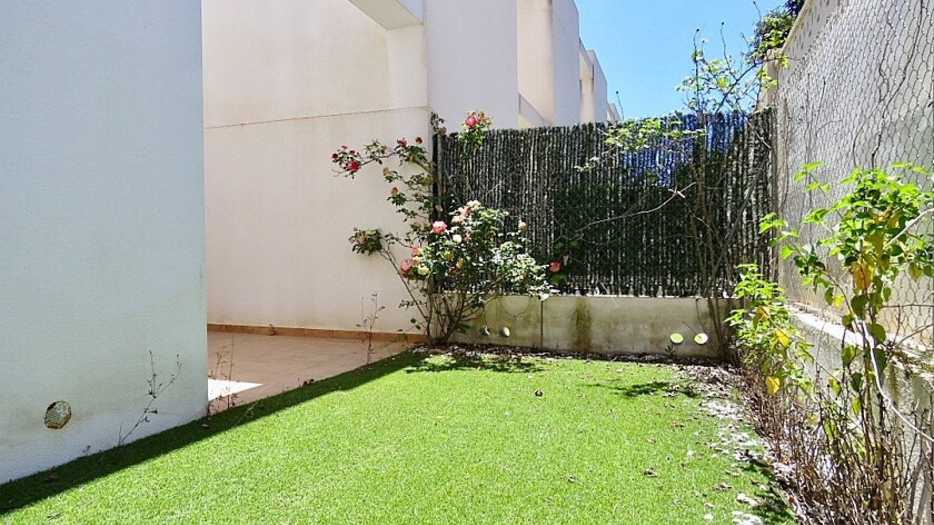 Revente - Maison de ville - Punta Prima - beachside punta prima