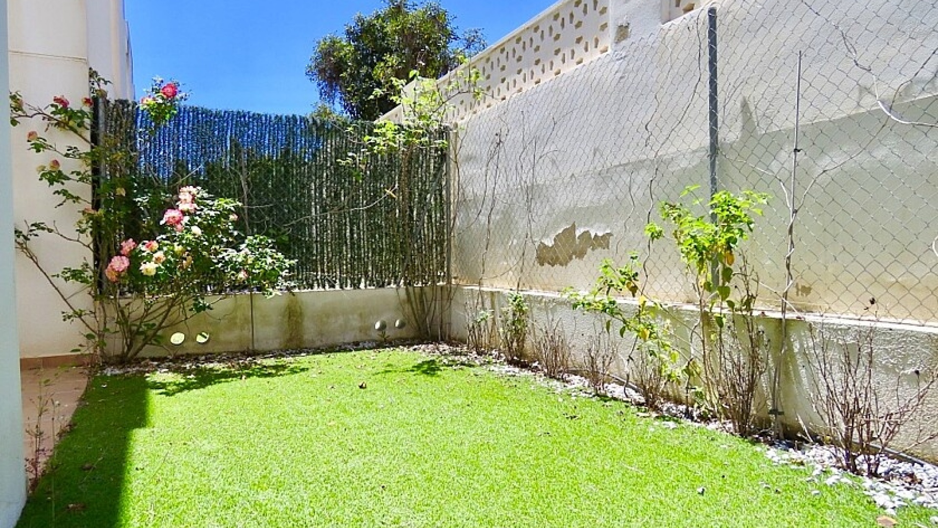 Revente - Maison de ville - Punta Prima - beachside punta prima