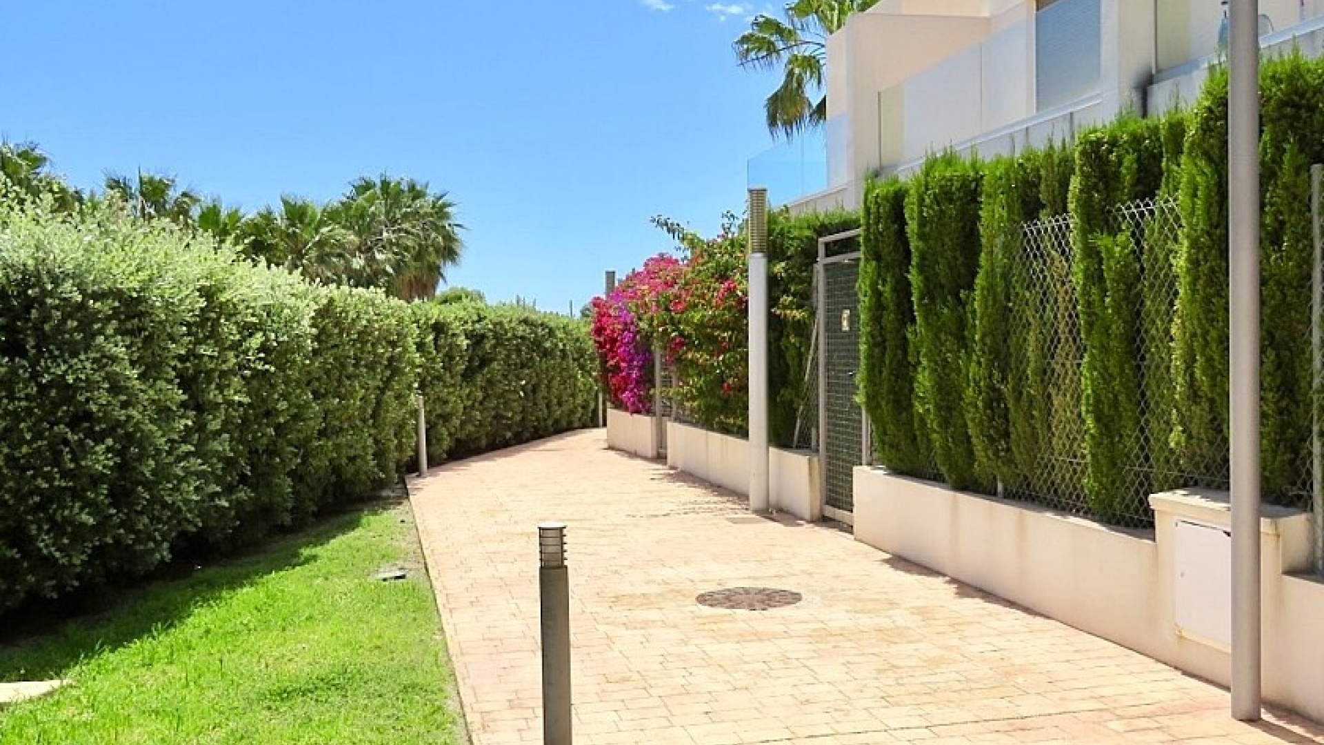 Revente - Maison de ville - Punta Prima - beachside punta prima