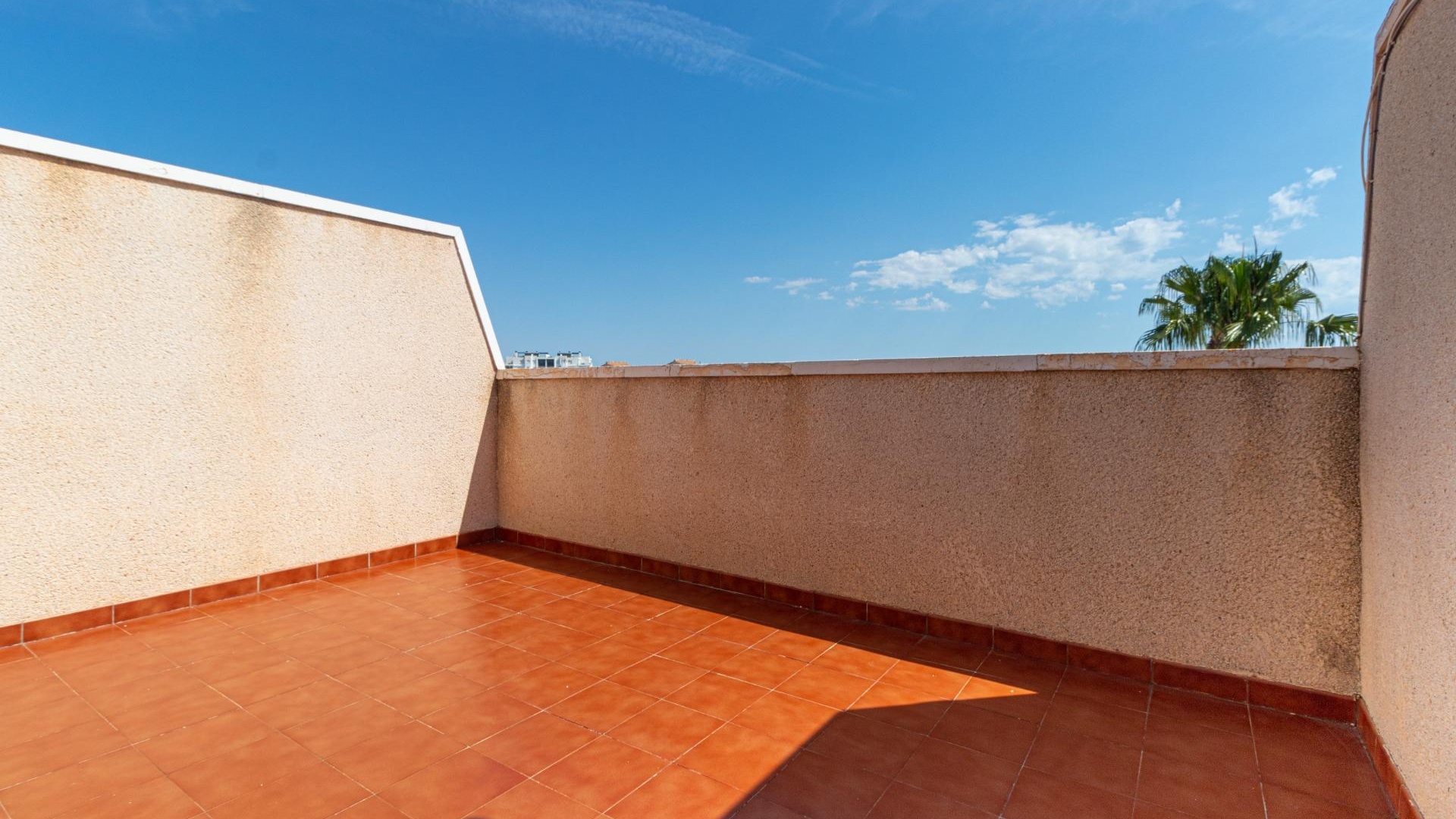 Revente - Maison de ville - Punta Prima - La Cinuelica