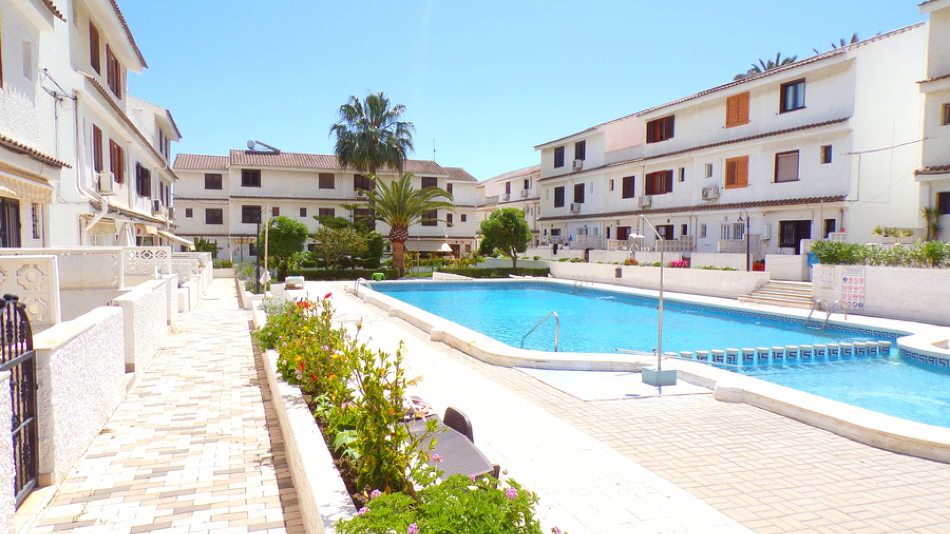 Revente - Maison de ville - Punta Prima - rocajuna