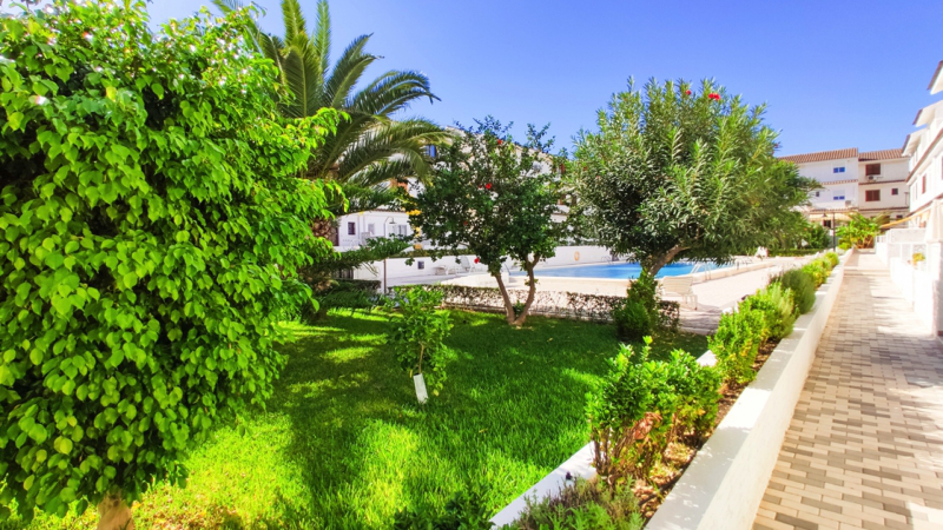 Revente - Maison de ville - Punta Prima - rocajuna