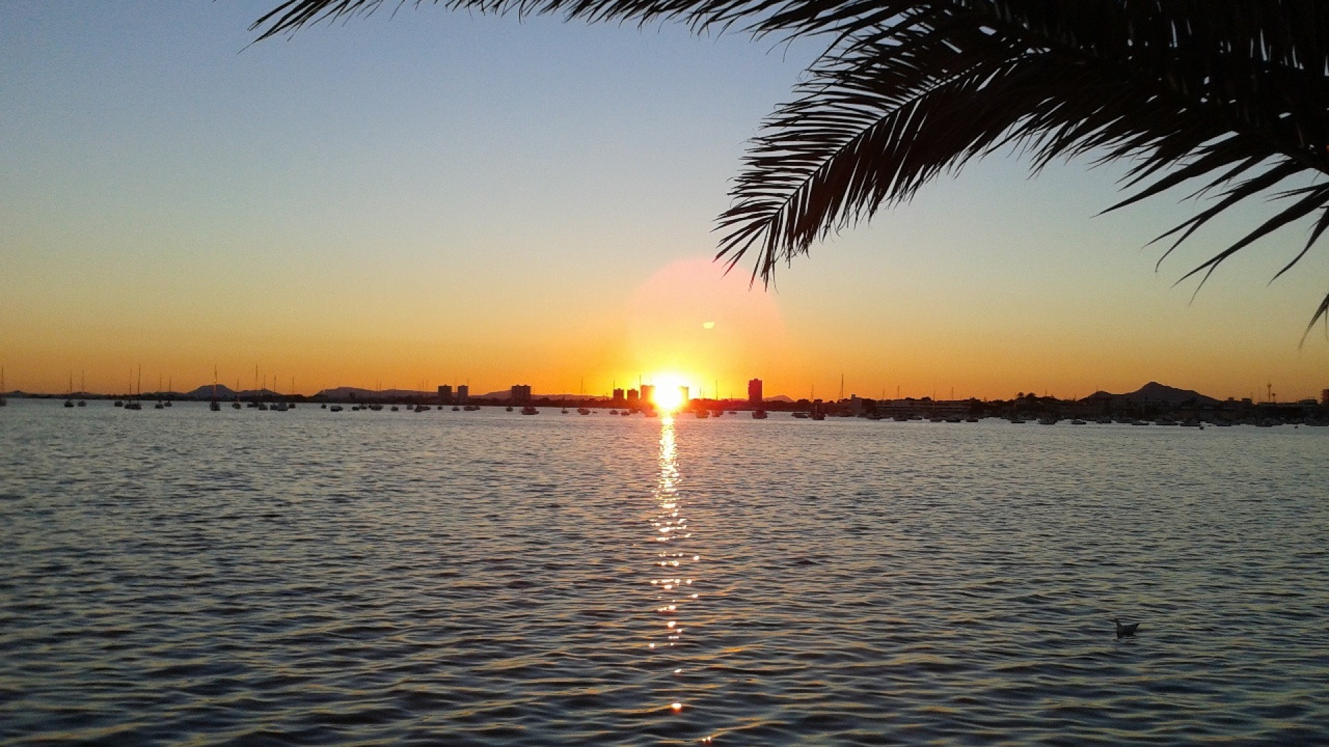 Revente - Maison de ville - Torre de la Horadada - beachside torre de la horadada