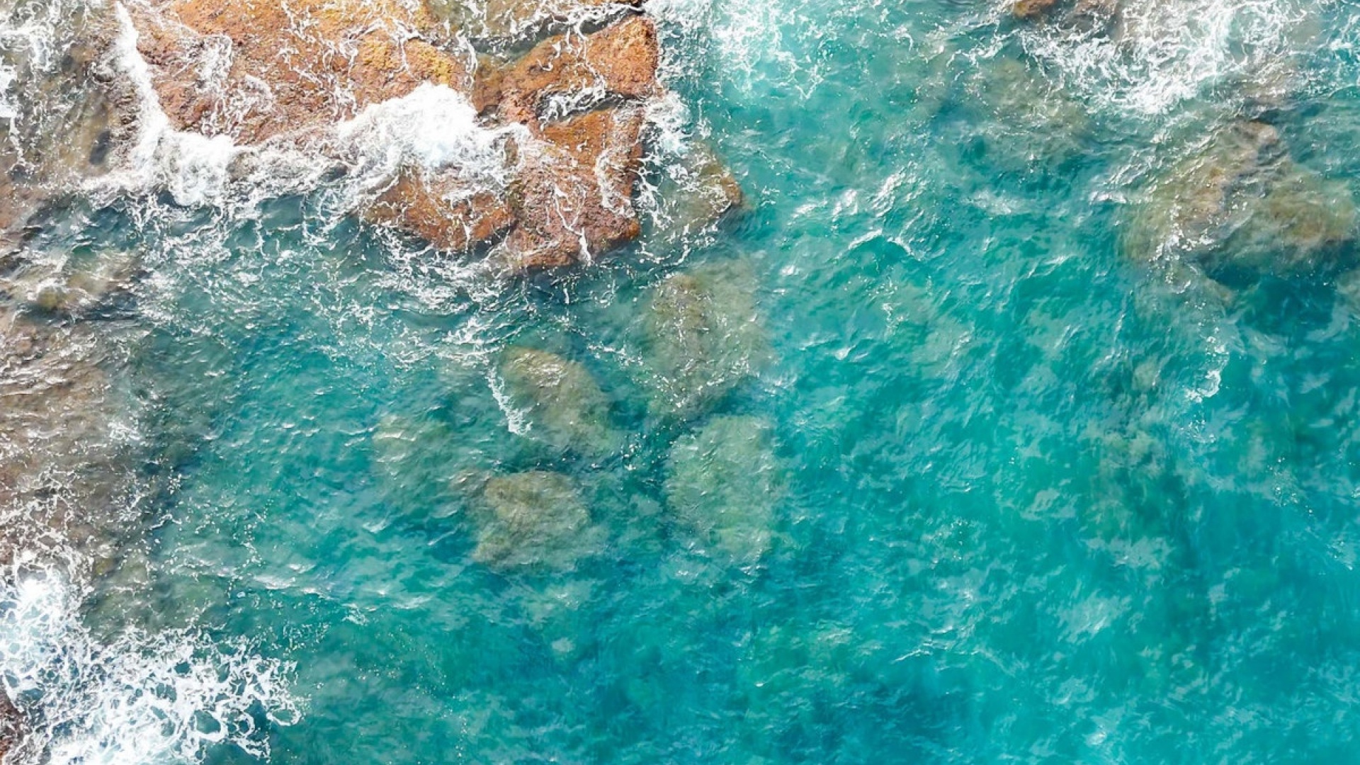 Revente - Maison de ville - Torrevieja - Playa De La Mata