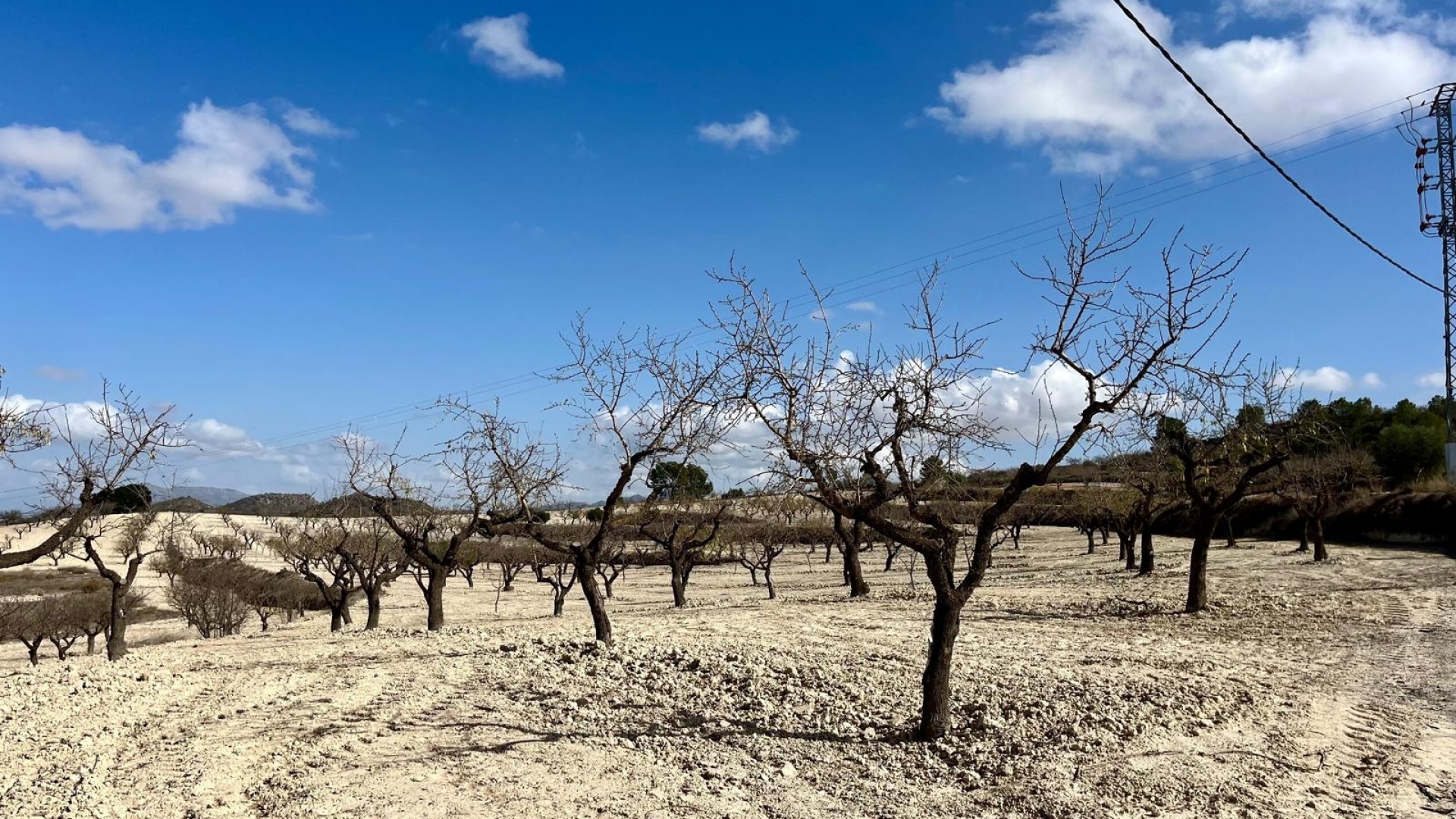 Revente - Parcelle - Bullas - Costa Calida