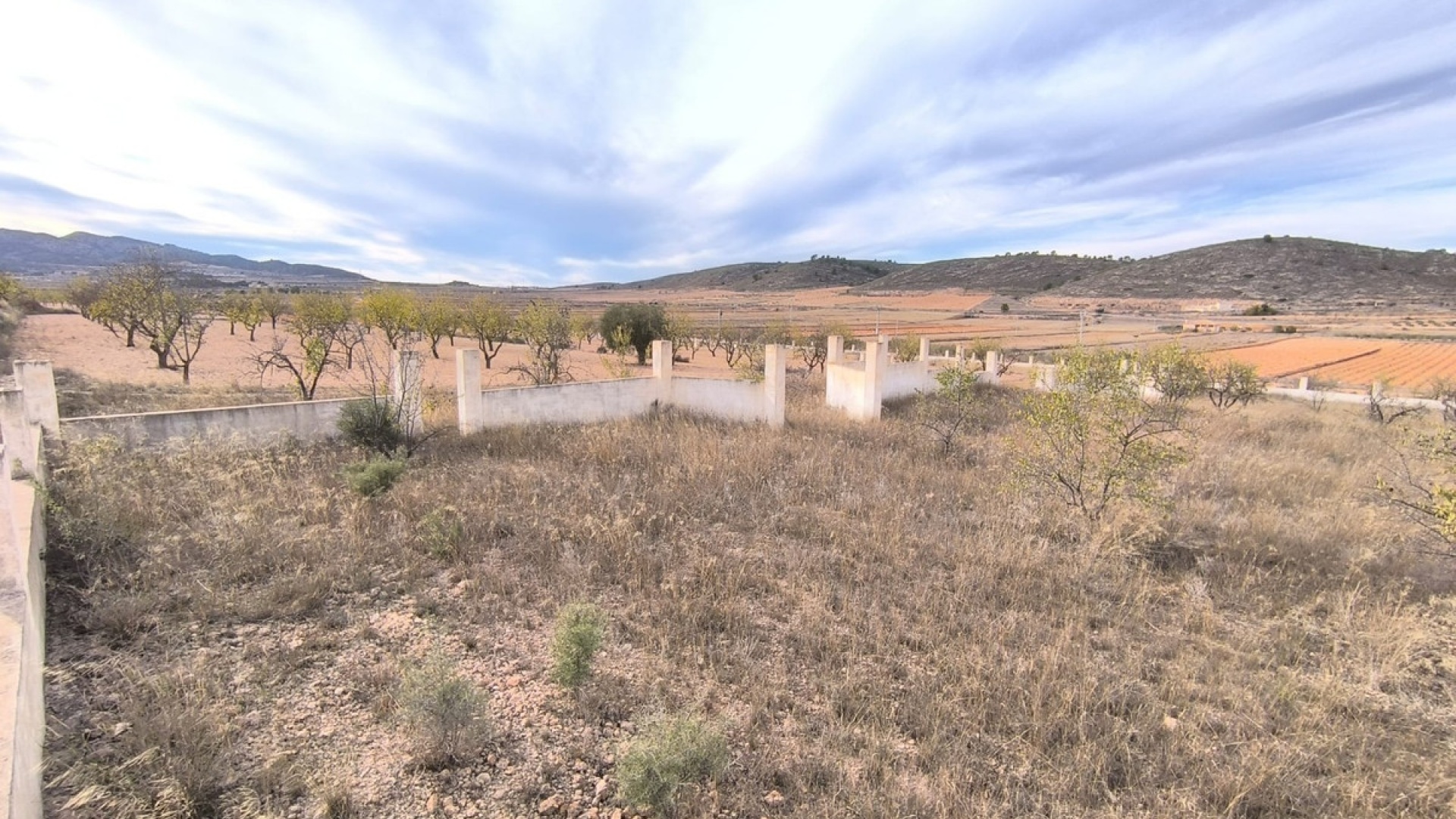 Revente - Terre - Abanilla - Cañada de la Leña