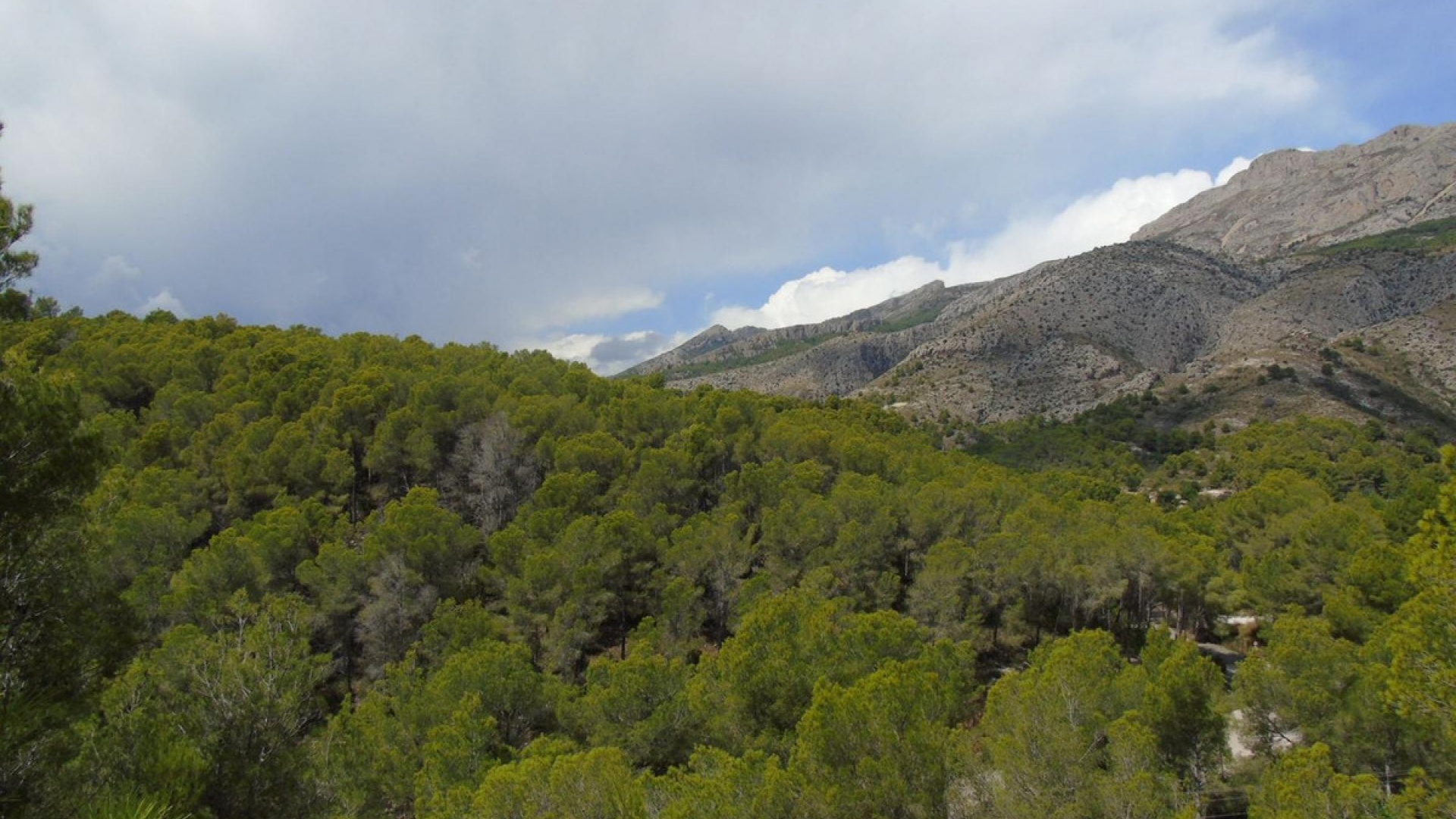 Revente - Terre - Altea - Altea Centro