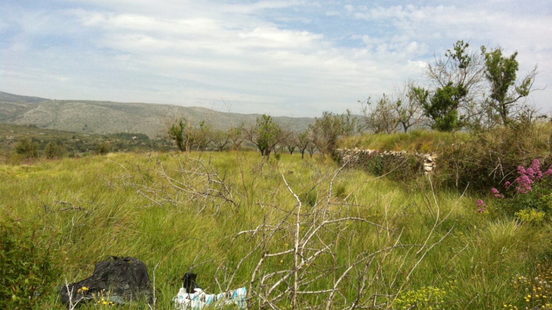 Revente - Terre - Benissa - Benissa Centro
