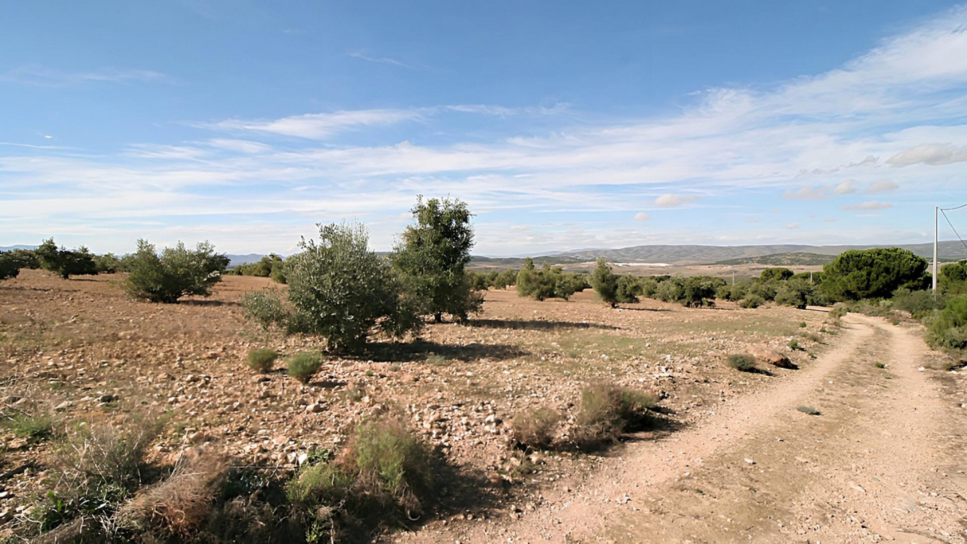 Revente - Terre - Biar - Biar Centro