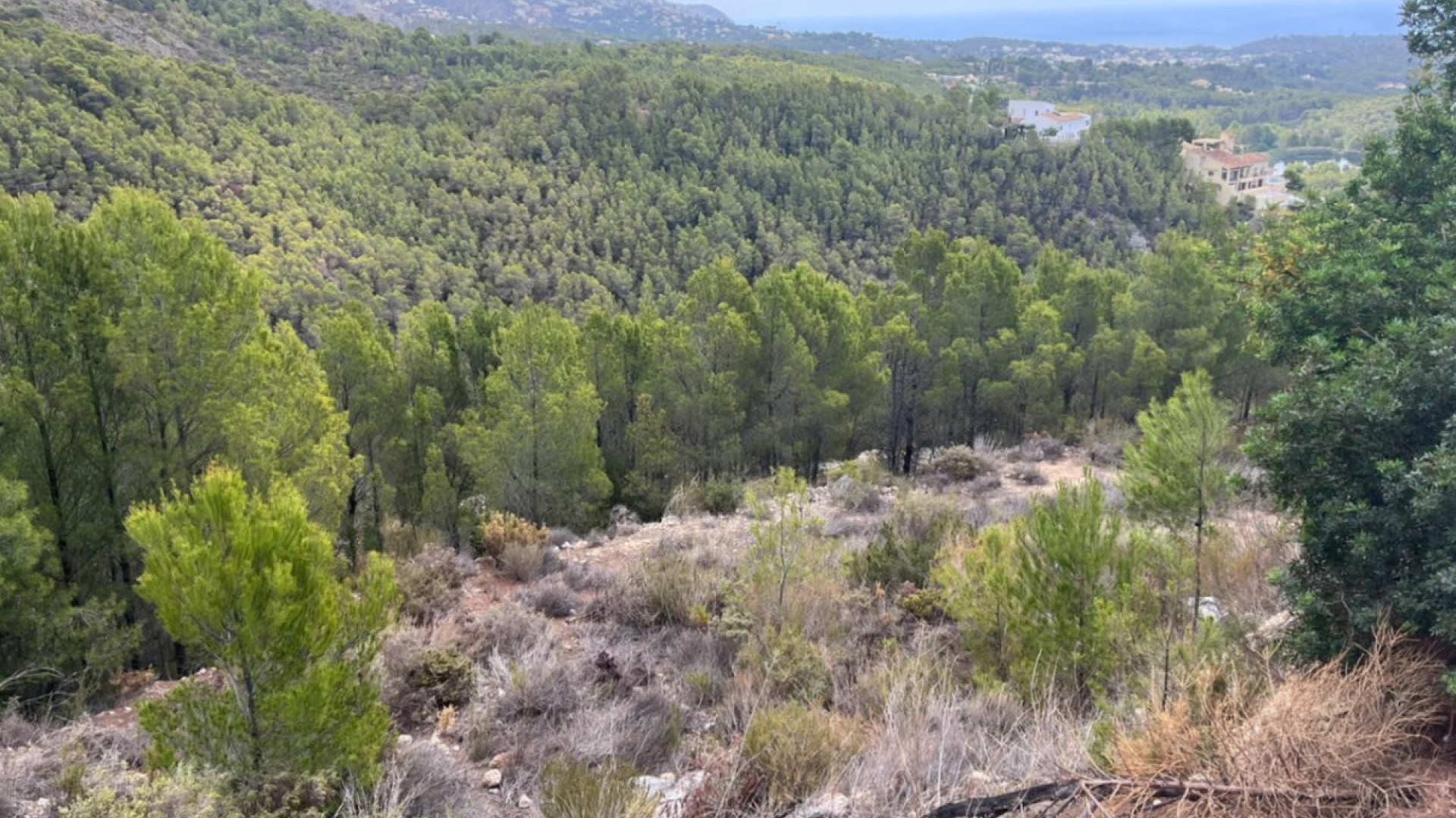 Revente - Terre - Callosa d'en Sarria - Callosa d'en Sarria Centro