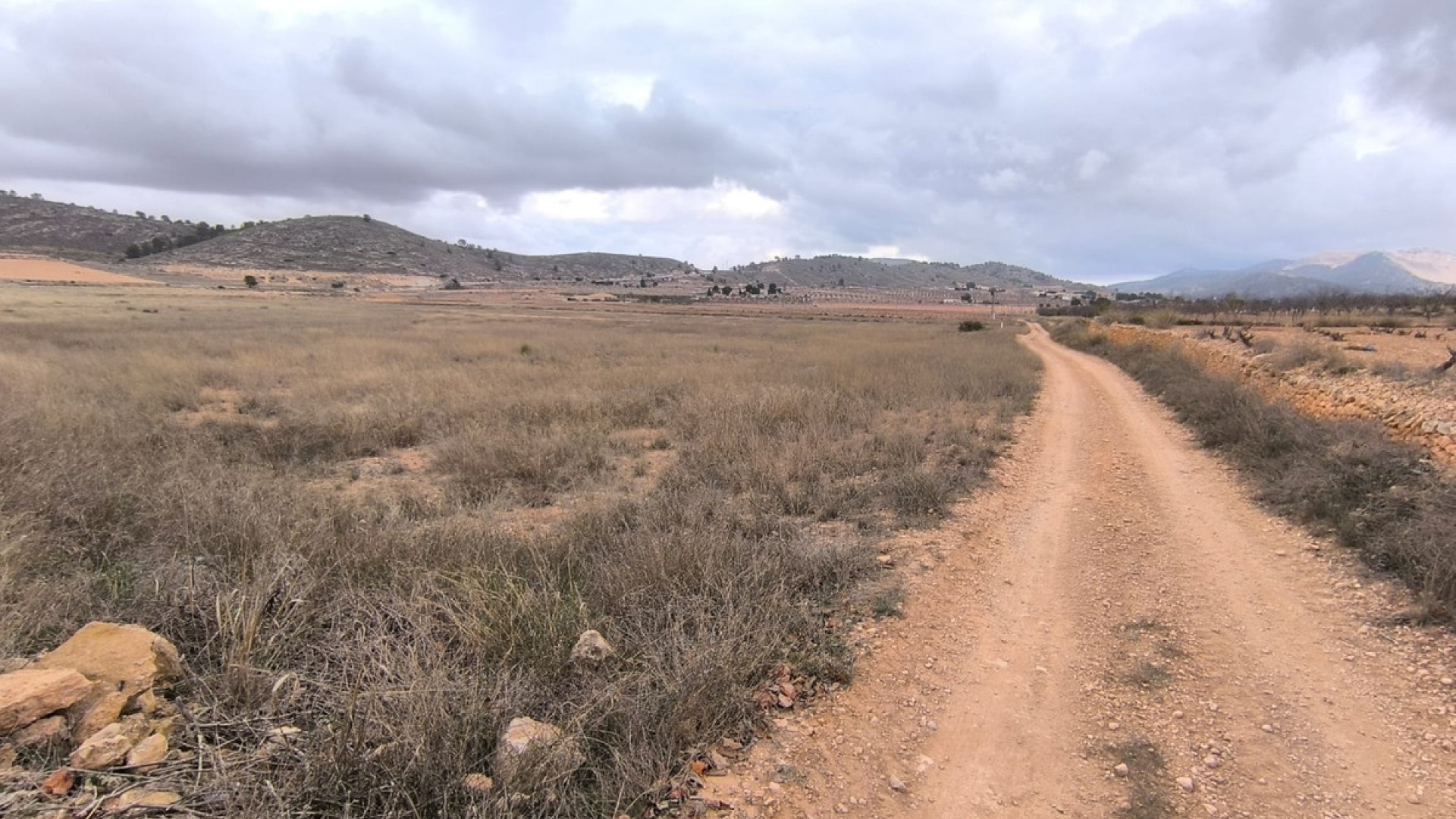 Revente - Terre - Jalon - La Solana
