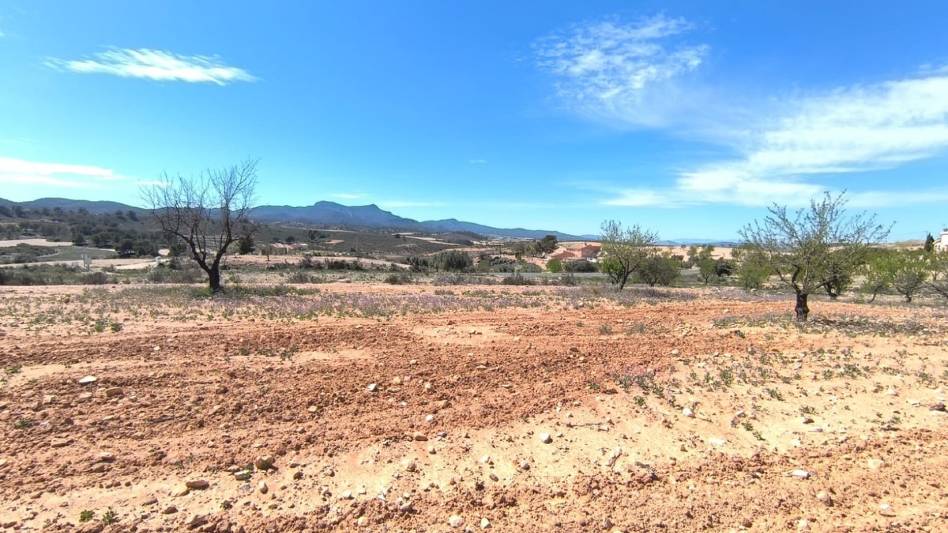 Revente - Terre - Jumilla - Jumilla Centro