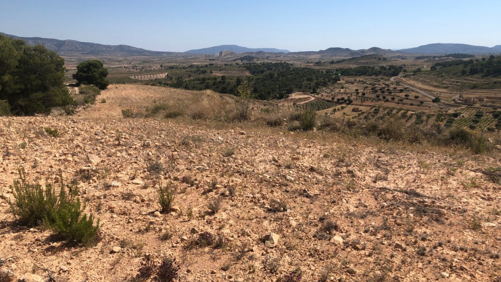 Revente - Terre - Jumilla - La Zarza