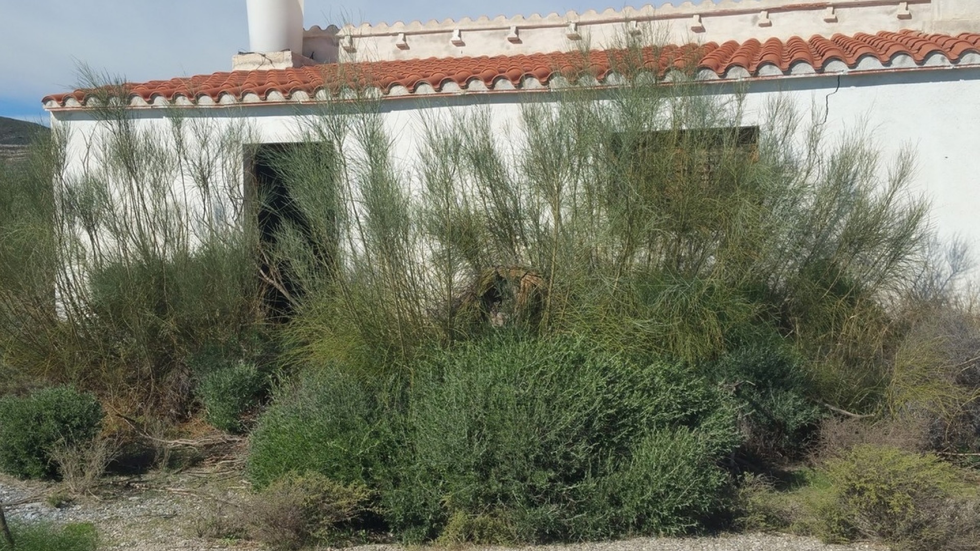 Revente - Terre - Lorca - Lorca Centro