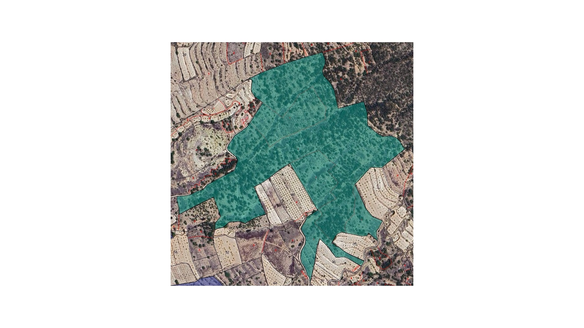 Revente - Terre - Monóvar - Monòver - Monóvar - Monòver Centro