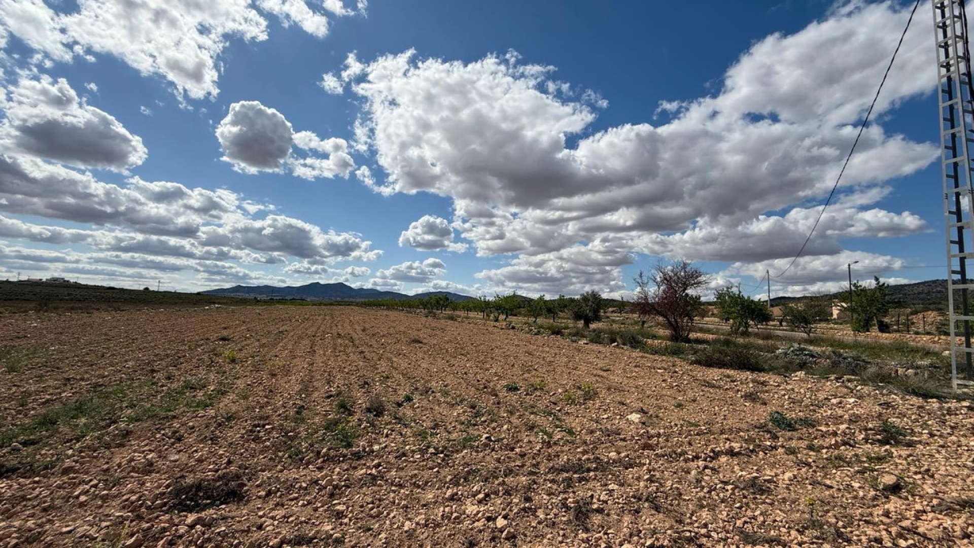 Revente - Terre - Pinoso - Pinoso Centro