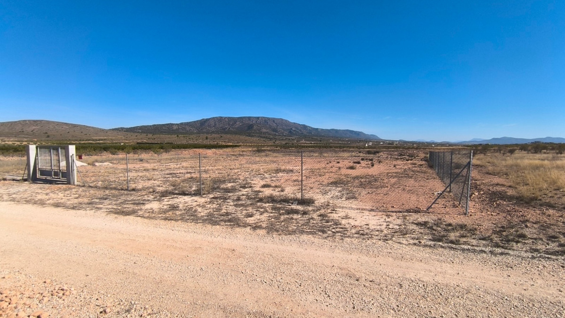 Revente - Terre - Pinoso - Pinoso Centro