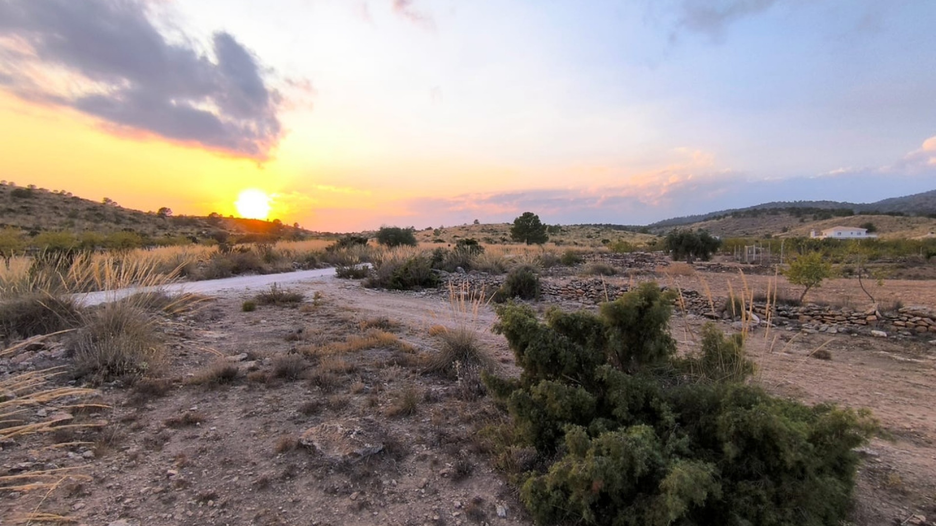 Revente - Terre - Pinoso - Pinoso Centro