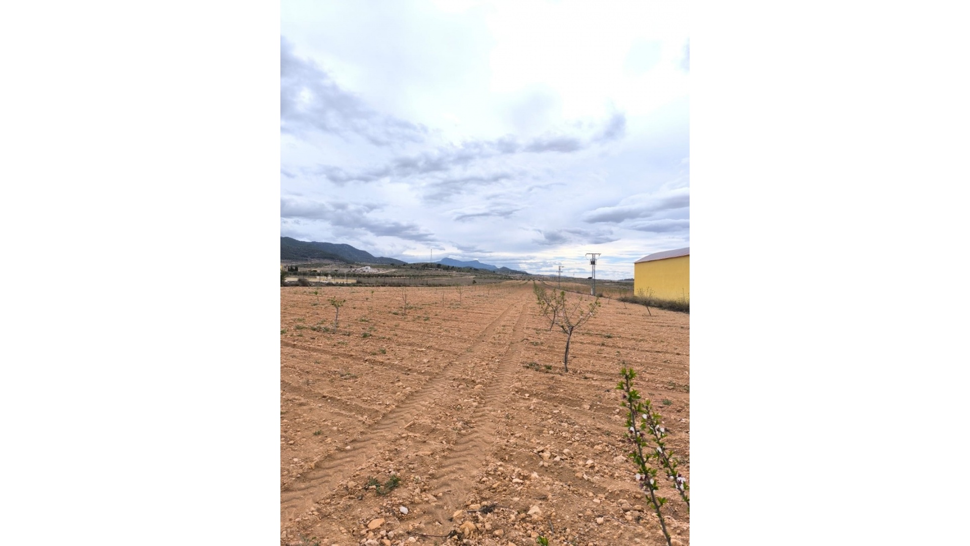 Revente - Terre - Pinoso - Pinoso Centro