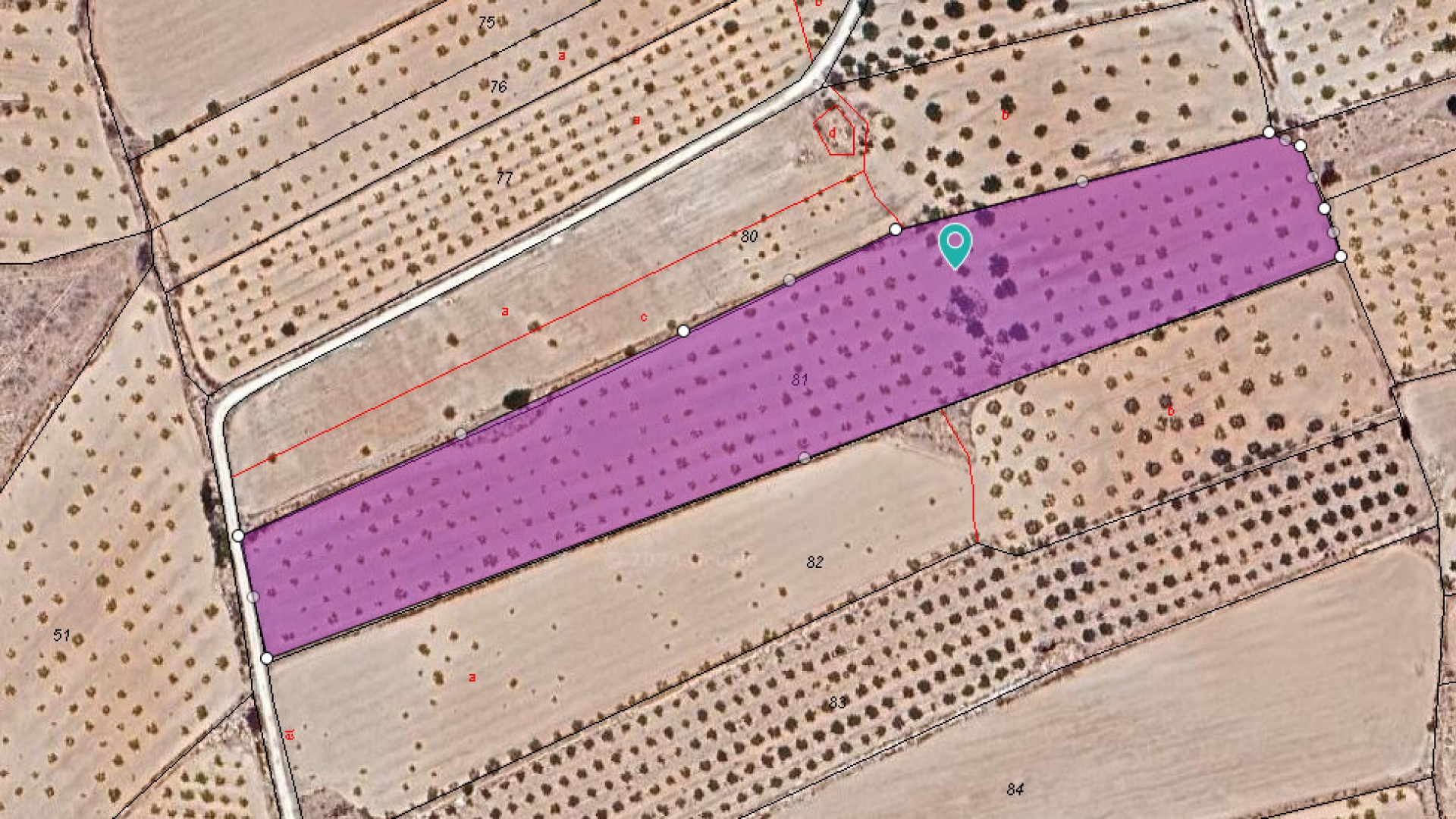 Revente - Terre - Pinoso - Pinoso Centro