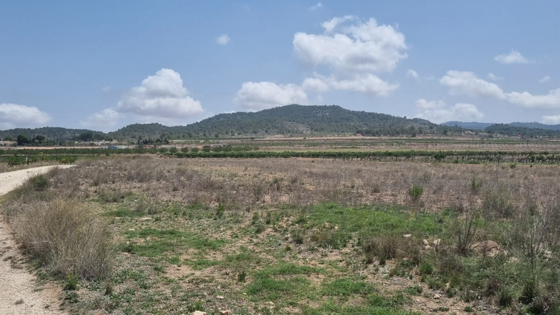 Revente - Terre - Pinoso - Pinoso Centro