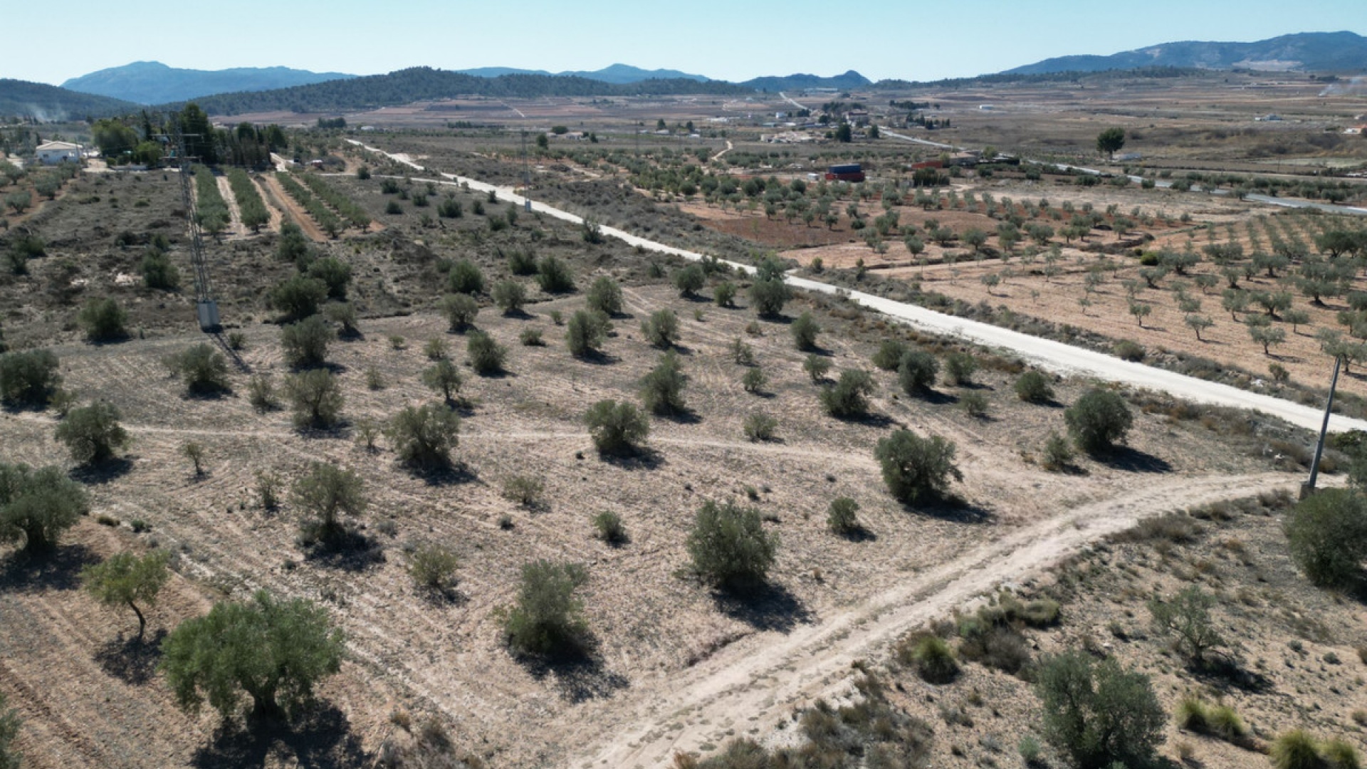 Revente - Terre - Pinoso - Pinoso Centro