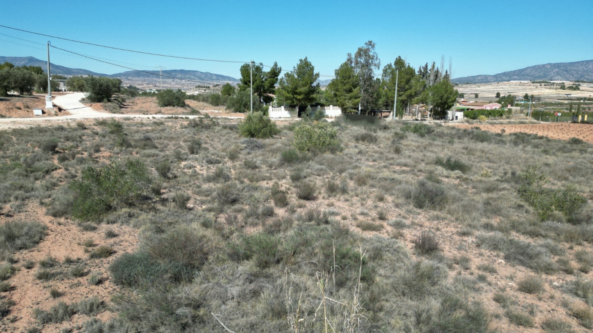 Revente - Terre - Pinoso - Pinoso Centro