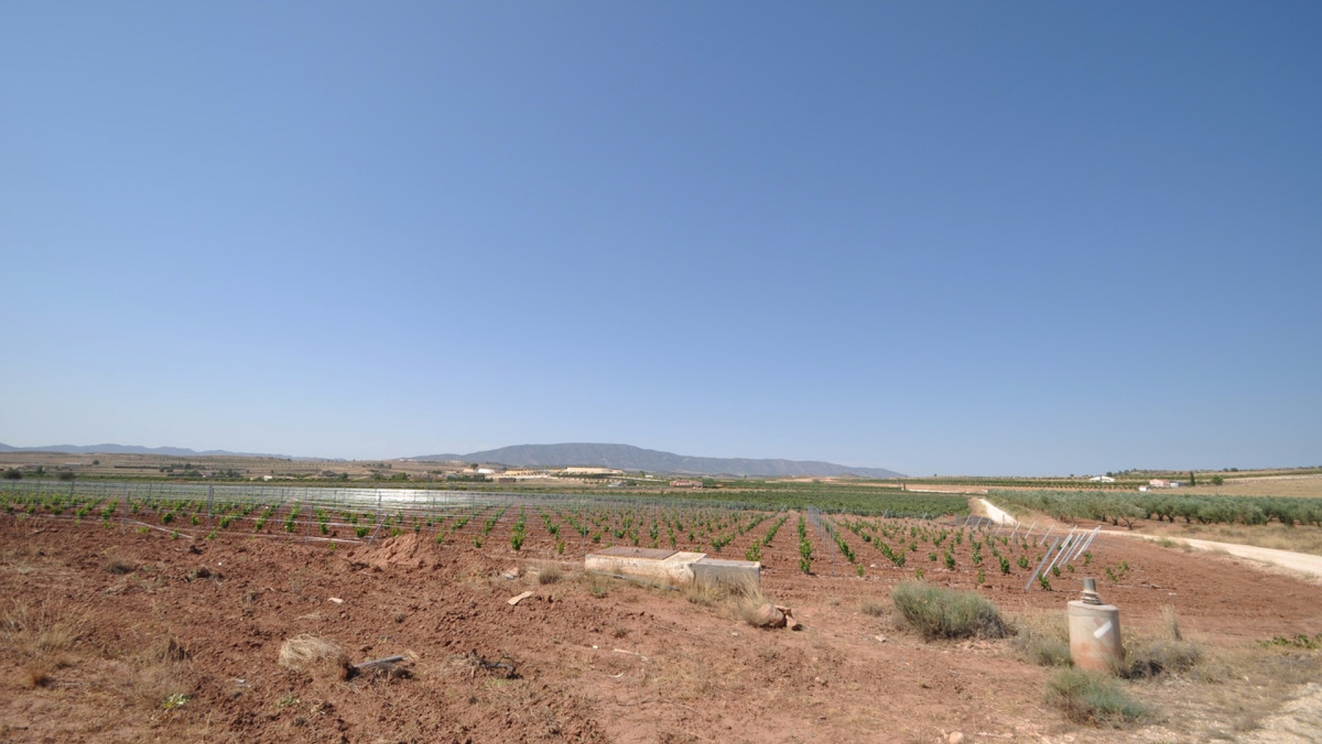 Revente - Terre - Pinoso - Pinoso Centro