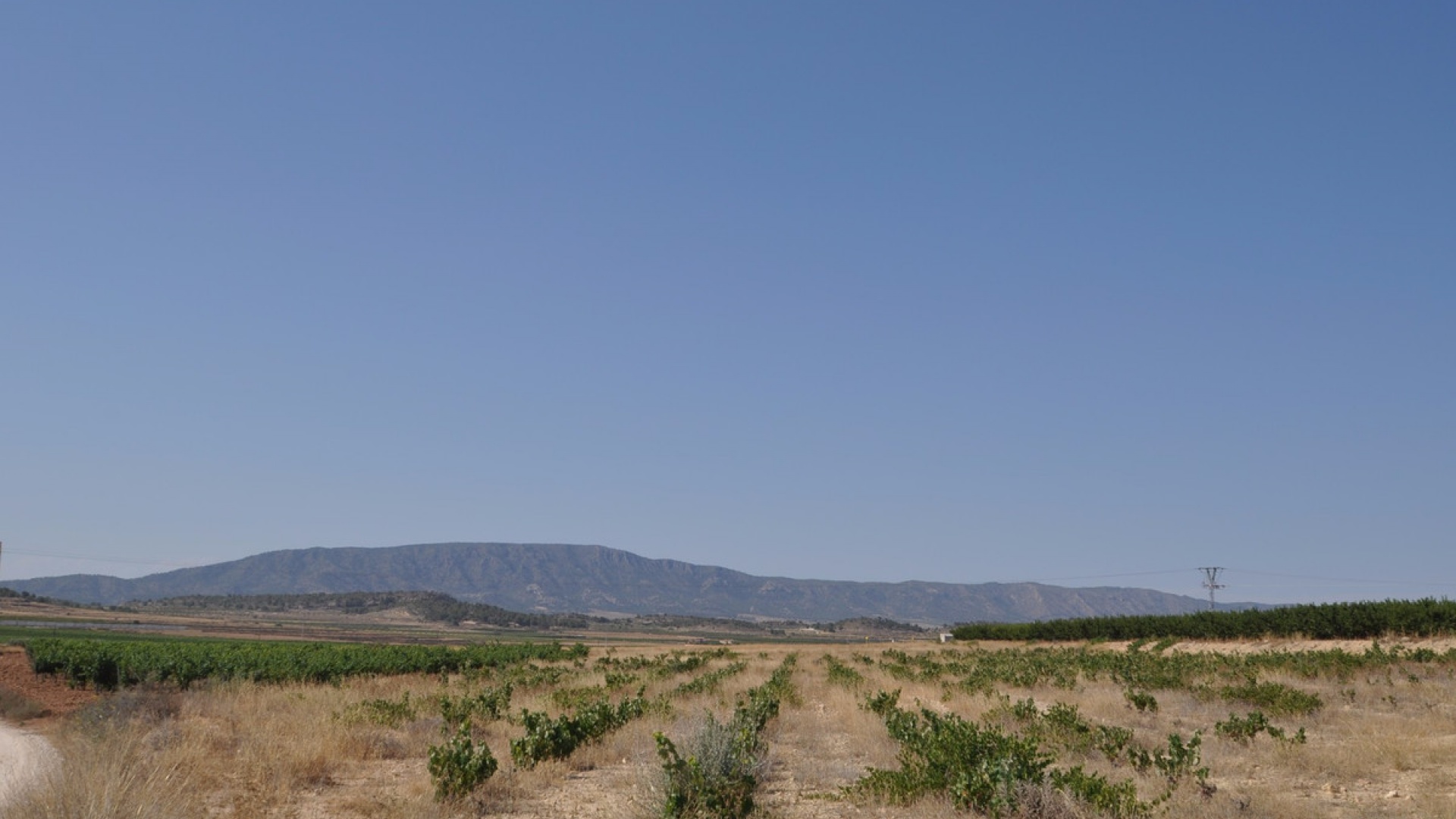 Revente - Terre - Pinoso - Pinoso Centro