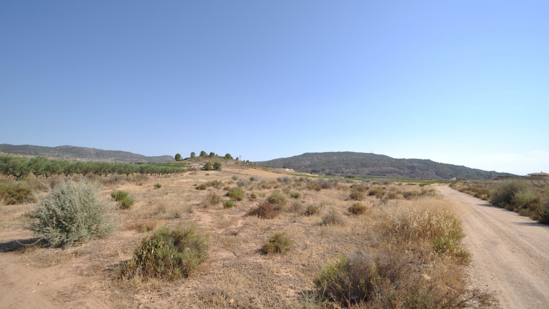 Revente - Terre - Pinoso - Pinoso Centro