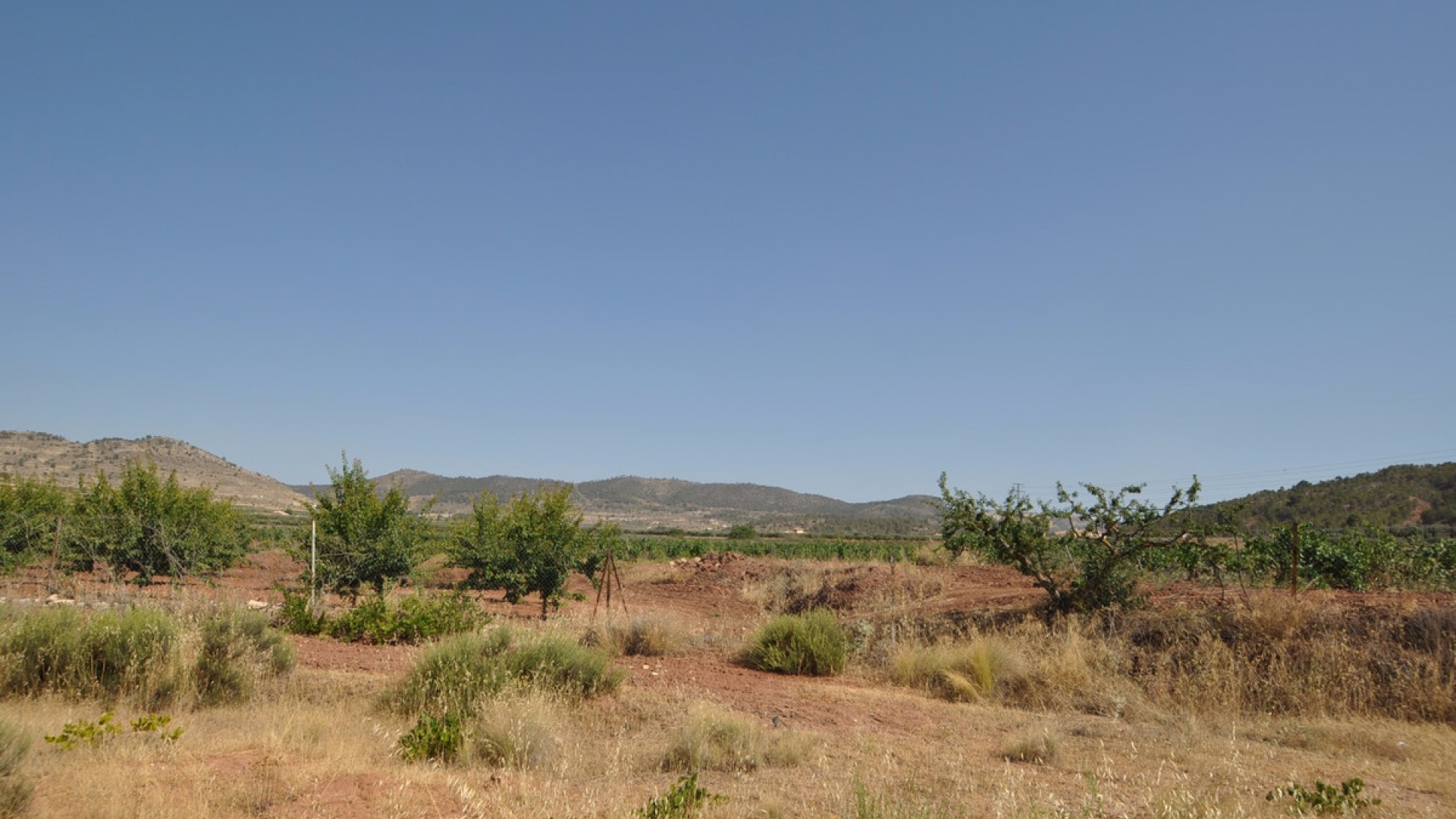 Revente - Terre - Pinoso - Pinoso Centro