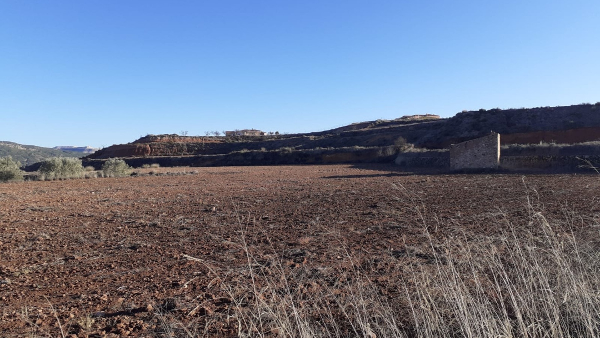 Revente - Terre - Pinoso - Pinoso Centro