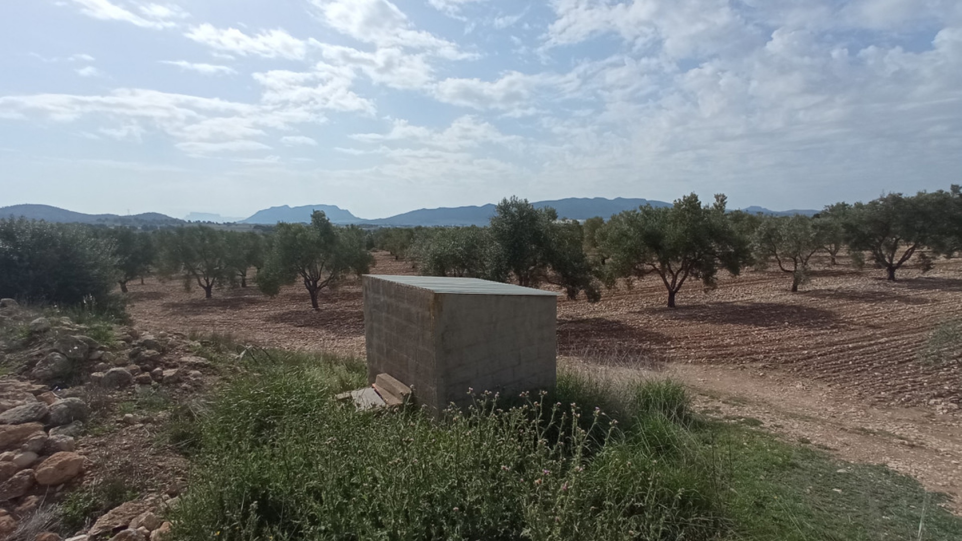 Revente - Terre - Salinas - Salinas Centro