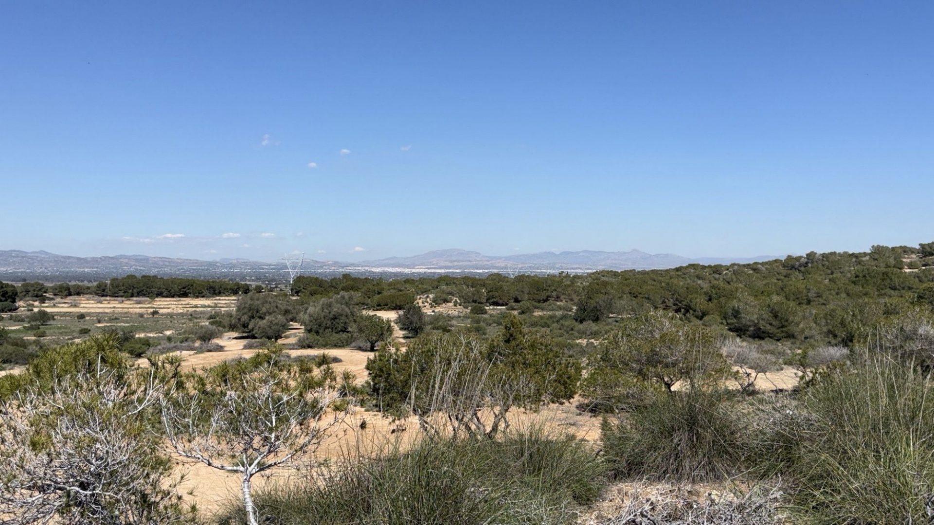 Revente - Terre - San Fulgencio - La Marina